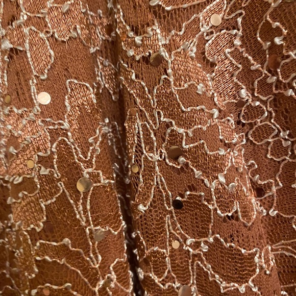 NWOT Plus Size Dark Salmon Lace Long Evening Wear Dress - Picture 7 of 11